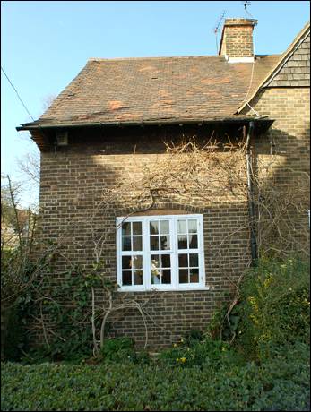 45 Asmuns Place